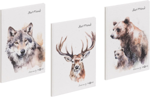 Set Freundebuch Save me No.5 60S 3 Stück