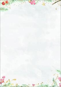 Weihnachts-Motiv-Papier - Tannenzweige - grau - 90 g/m² - A4 25 Blatt