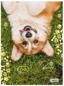 Roth Tierische Zeichenmappen A3 Corgi