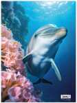 Roth Tierische Zeichenmappen A3 Dolphin