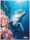 Roth Tierische Zeichenmappen A3 Dolphin