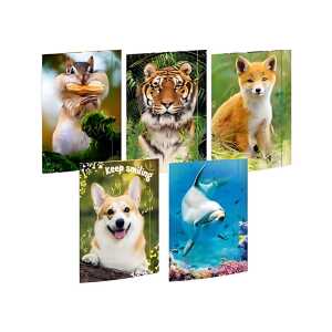 Roth Tierische Zeichenmappen A3 15er Sortiment