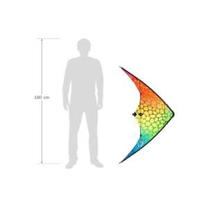 Ecoline: Orion Gradient Mesh