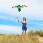 Bird Kite Hummingbird