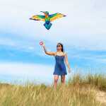 HQ Vogeldrachen Bird Kite Hummingbird