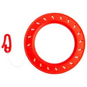 Bird Kite Kingfisher