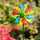 Kinetic Art Metal Wind Spinner: Single Windmill - Multi-Color