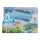 Moose Toys BLUEY Flugzeug 3-in-1-Verwandlungsspielset
