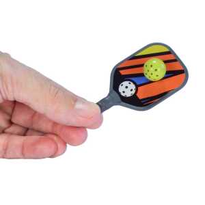 Worlds Smallest Pickleball 810010990709
