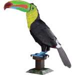Metal Earth Tiere Keel-billed Toucan Regenbogentukan...