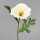 Kunstblume Mohn weiß 37cm 4099886012159