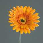 Kunstblume Gerbera orange 56cm