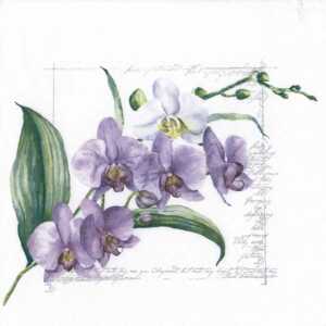 ti-flair Servietten Orchidée lilac 33x33cm 20 Stück