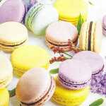 Home Fashion Servietten Macarons 25x25cm 20 Stück...