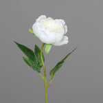Kunstblume Päonie cream 48cm 4027234970301
