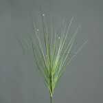 Kunstblume Graszweig mit Blüten grün 50cm
