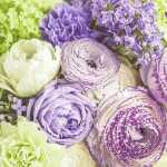 Home Fashion Servietten Floral Poetry 33x33cm 20...