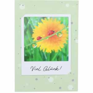 DEPESCHE 3D Polaroid Klappkarte Motiv 39