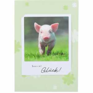 DEPESCHE 3D Polaroid Klappkarte Motiv 42