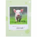 DEPESCHE 3D Polaroid Klappkarte Motiv 42