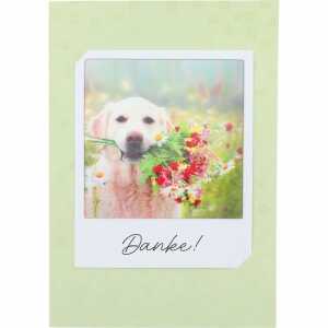 DEPESCHE 3D Polaroid Klappkarte Motiv 54