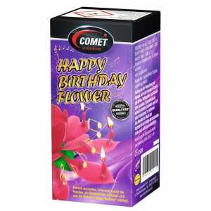 COMET Fontäne Happy Birthday Kat F1