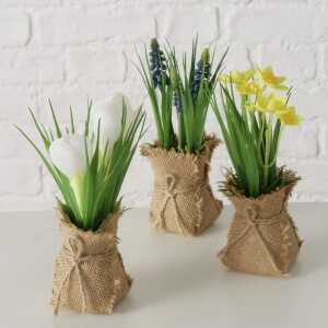 BOLTZE Topfpflanze Harmony 19cm 3fach sortiert