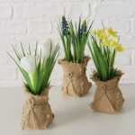 BOLTZE Topfpflanze Harmony 19cm 3fach sortiert