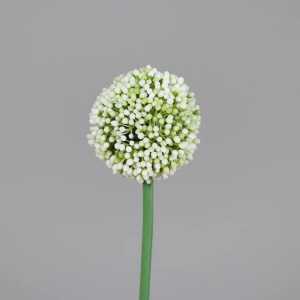 Kunstblume Allium cream 65cm 4099886008169