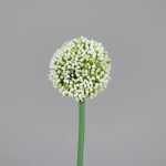 Kunstblume Allium cream 65cm 4099886008169