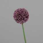 Kunstblume Allium lila 65cm 4099886008190