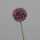 Kunstblume Allium lila 65cm 4099886008190