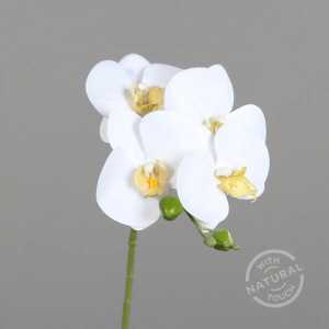 Kunstblume Orchidee Real Touch cream 66cm