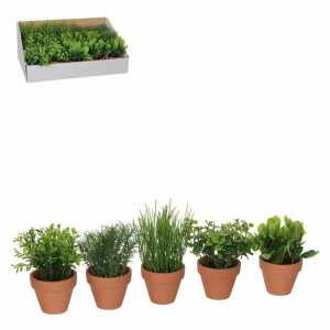 Kunstblume Kräuter im Topf grün 18x7cm 5fach sortiert