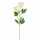 Kunstblume Peonie creme 67cm 8720983044977