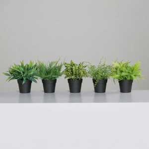 Kunstblume Farn im Topf 24cm 5fach sortiert