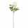 Kunstblume Peonie weiss 66cm 8720983069079
