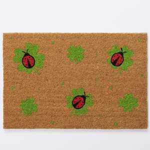 BOLTZE Fußmatte Luck 40x60cm 4066076501168