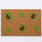 BOLTZE Fußmatte Luck 40x60cm 4066076501168