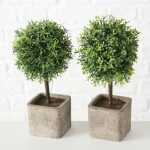 BOLTZE Topfpflanze 26cm 2fach sortiert