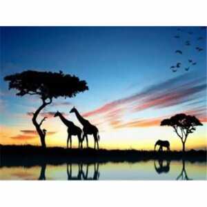 PRACHT Diamond Painting Afrika 50x40cm