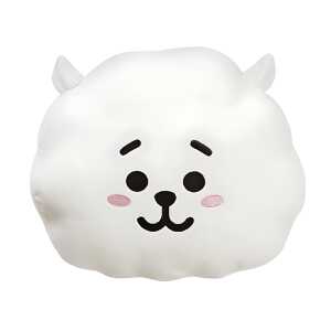 BT21 RJ Cushion 28 cm 5034566614642