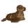 Mini Flopsies Sea Lion 20 cm 5034566312449
