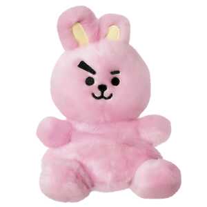 BT21 Cooky Palm Pal 13 cm 5034566615106
