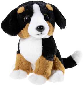 Heunec ALPENWELT Sennenhund Größe 22 cm