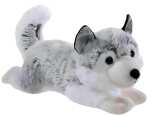 Heunec WINTER Husky Größe 30 cm
