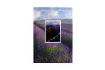 Notizbuch mit Wechselbild "Lavendel", A5,...