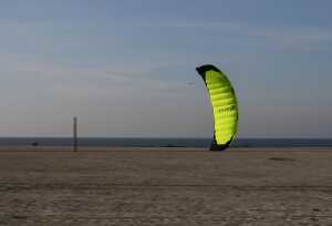 Elliot Drachen Spiderkites Lycos 2.0 PS 205 x 56 cm