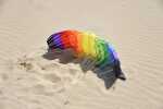 Elliot Drachen Spiderkites Amigo 1.35 135 x 55 rainbow rtf