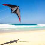 Elliot Drachen Janus 196 x 82 cm charcoal/red rtf